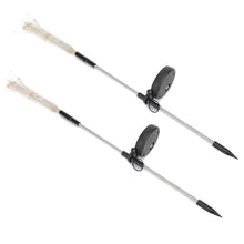 Luminous Garden Rays